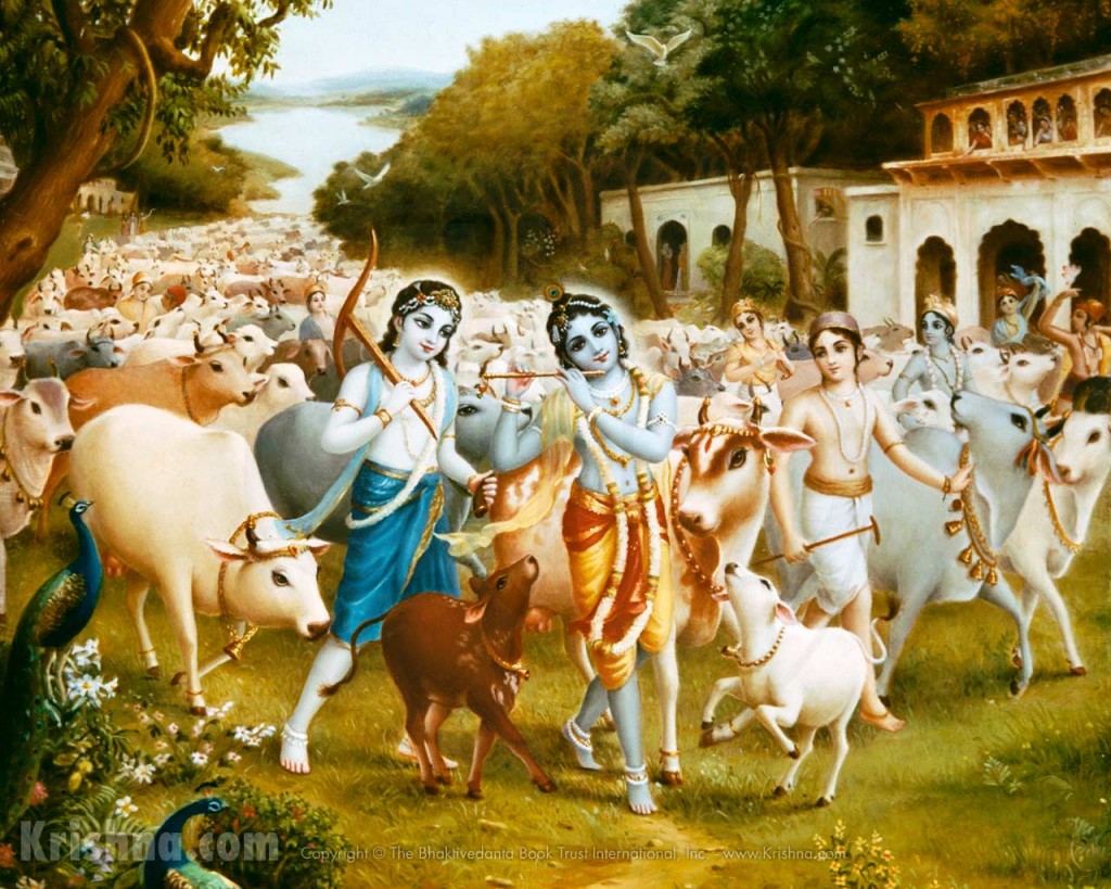 Krishna, Balaram tend the cows