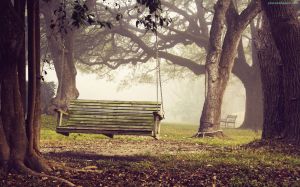 forest-swing-autumn-dry-leaves-tree_13108