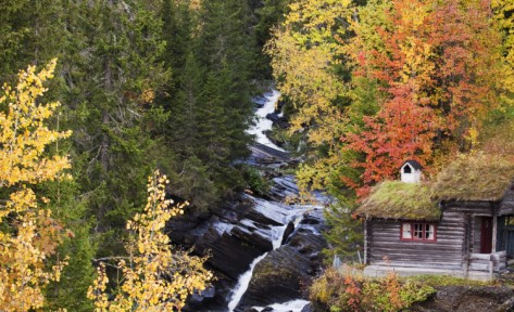 A SMALL HUT BY A JOYOUS BROOK